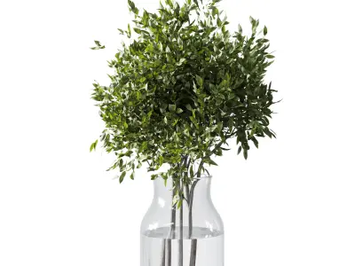 Collection Green Plants Bouquet Indoor 12 Low-poly 3D model