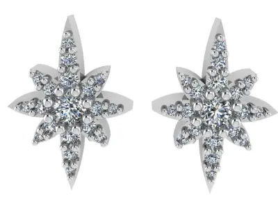 Star Diamond Earring 2555 3D print model