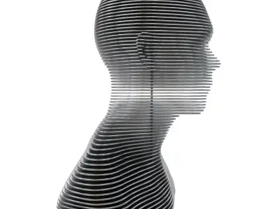 Bust of metal plates 2 metal variants 3D model