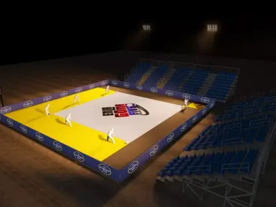 Proyecto Baseball 5  3D model