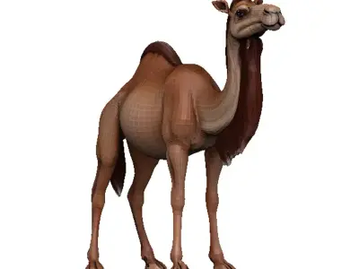 Camel Low-poly 3D model 12