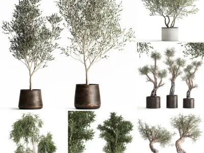 Collection of decorative trees 31 pieces 3D model