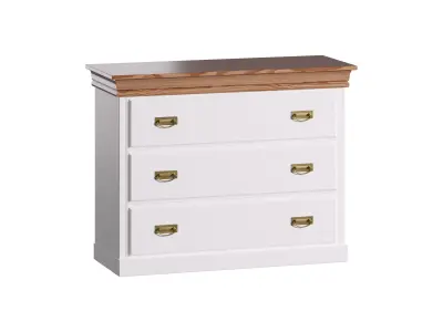 COPPELIA ARPL2049 3D model