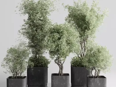 Indoor plant set 332 plant tree vase dirty concrete Low-poly 3D model