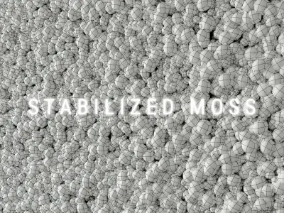 Stabilized Moss 2 3D model