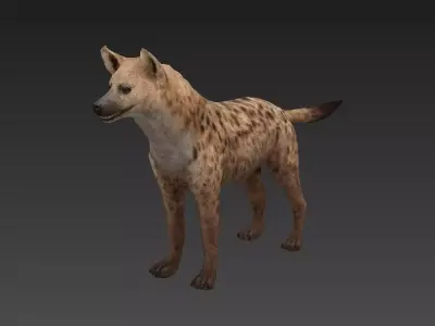 Hyaenidae hyena Low-poly 3D model
