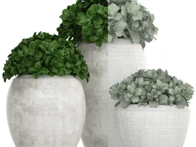 Collection of plants in pots 3D model