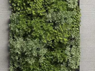 Vertical Wall Garden With Wooden frame  collection of houseplant 3D model