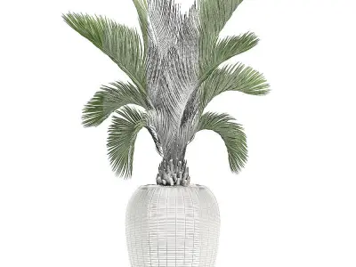 Decorative palm in a white flowerpot  513 3D model