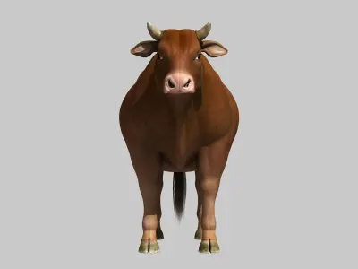 bull cow buffalo 3D model