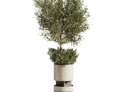 Indoor plant stant 79 3D model