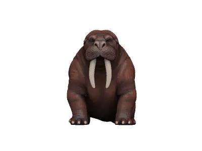 Walrus Low-poly 3D model