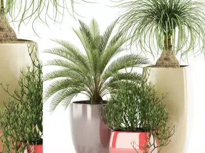 Plants collection 101 Awesomeplanters 3D model