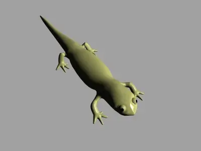 Cartoony Lizard 3D model
