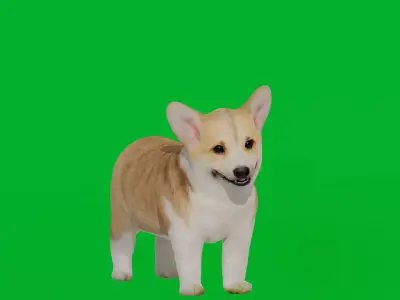Pembroke Corgi Puppy Dog Low-poly 3D model