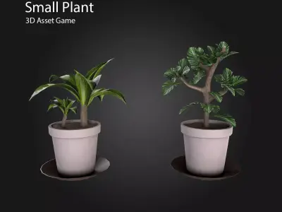 Small Plant Low-poly 3D model
