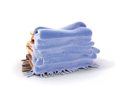 Cozy Woven Blanket model pack Low-poly 3D model