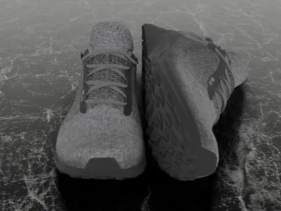 SALOMON S LAB 3D SHOES Low-poly 3D model