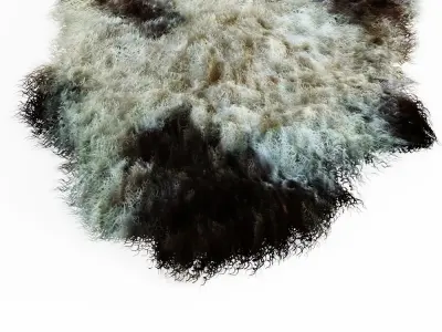 Bedside Sheepskin Rug 05 3D model