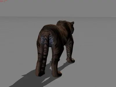 Tiger Asian Animal Low-poly 3D model