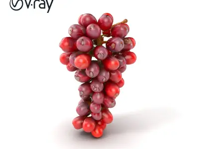 Realistic Red Grape Bunch 3D model pack Low-poly 3D model