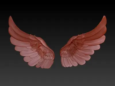 Wings two 3D model