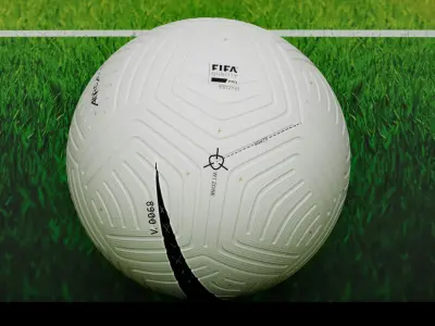 Nike Flight Ball Free 3D model