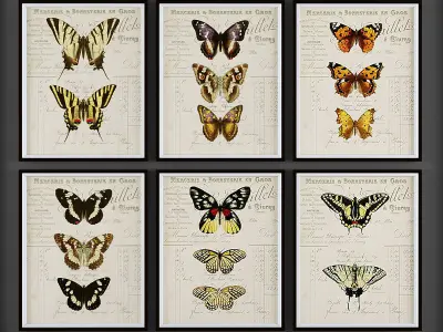 Collection of Picture Frames - 20 sets