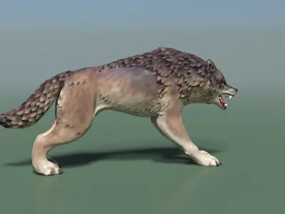 Wolf II Low Poly Low-poly 3D model