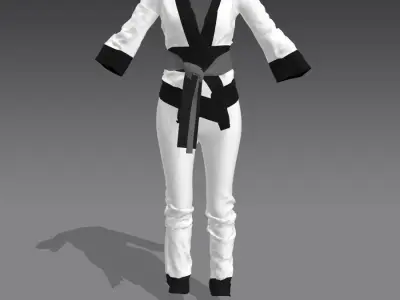 BLOUSE AND  PANT CARD  WITH BELTED KNOT 3D model