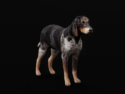 Grand Bleu De Gascogne Dog Low-poly 3D model