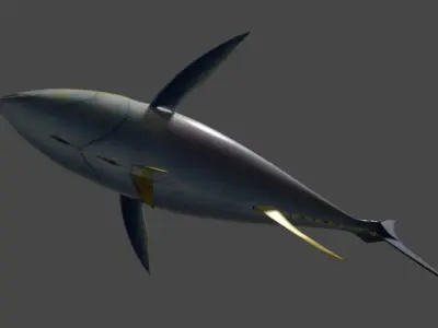 Yellowfin Tuna Rigged Hi and Low Poly Versions Low-poly 3D model