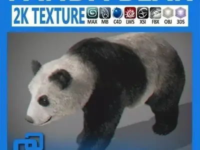 Panda Bear 3D model