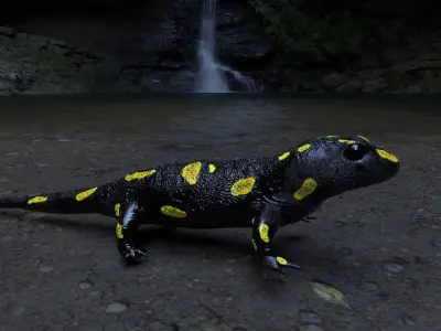 Salamander 3D model spotted Low-poly 3D model