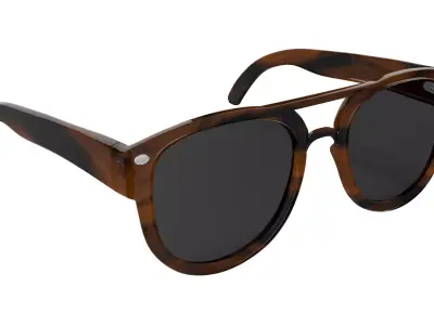 Stylish Eyewear Tortoise Shell Sunglasses  Low-poly 3D model
