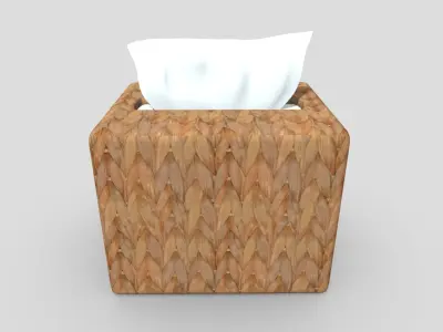 Tissue Box 5 Low-poly 3D model