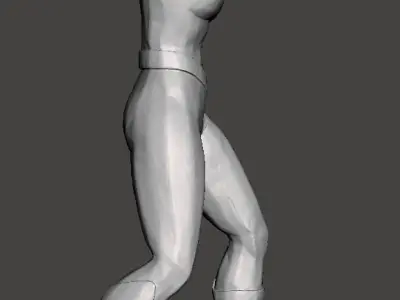 invisible woman 3d model for 3d printing 3D print model