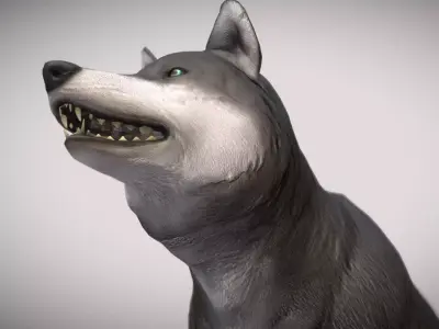 The direwolf Low-poly 3D model