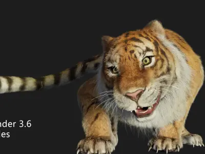 rigged tiger wild cat beast  Low-poly 3D model