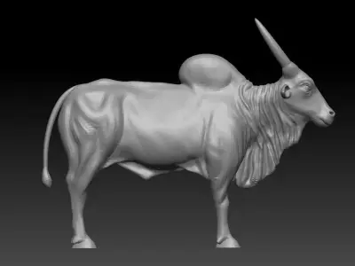 Indian Bull 3D model