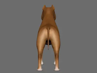 Dog  American Staffordshire Terrier Low-poly 3D model