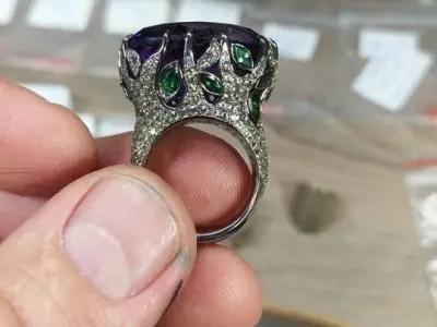 Rings  with plants 3D print model