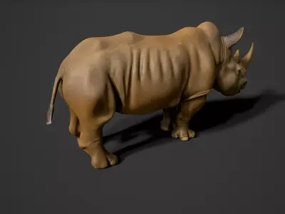 Rhino 3d model Low-poly 3D model