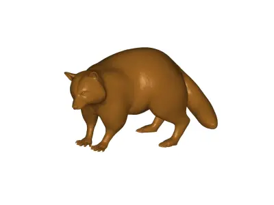 Racoon  3D model