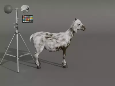 Realistic Rigged Goat  Fur PBR Textured 3D Model Animation Film Low-poly 3D model