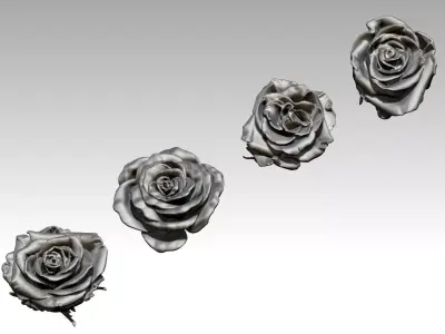 Flower Rose Set of 4 pcs 3D print model