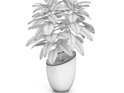 Plant in Black Pot 3D model