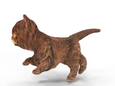 Fur Cure Kitten Red 02 Low-poly 3D model