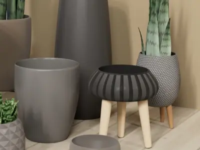 Vases pots and 3 snake plants set 3D model  3D model