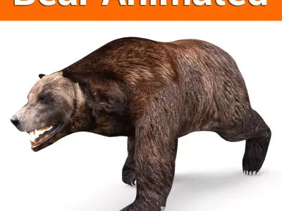 Brown Bear Rigged and animated 3D Model Low-poly 3D model